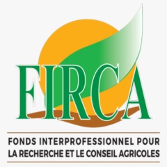 FIRCA